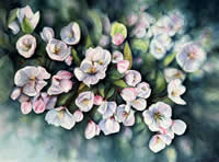 Burst of Blossoms by Hisako Johnson